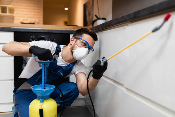 Best Flea Control Services  in , CT