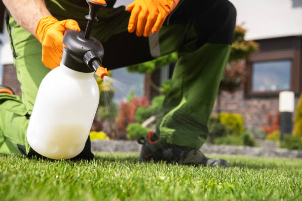 Best Residential Pest Control  in , CT