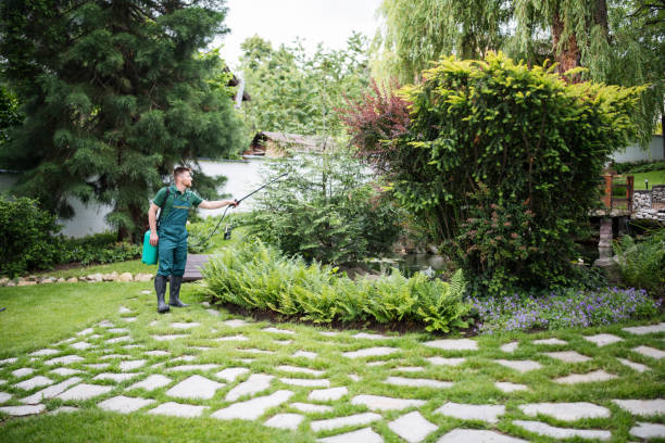 Best Local Pest Control Services  in , CT