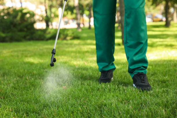 Best Termite Control Services  in , CT