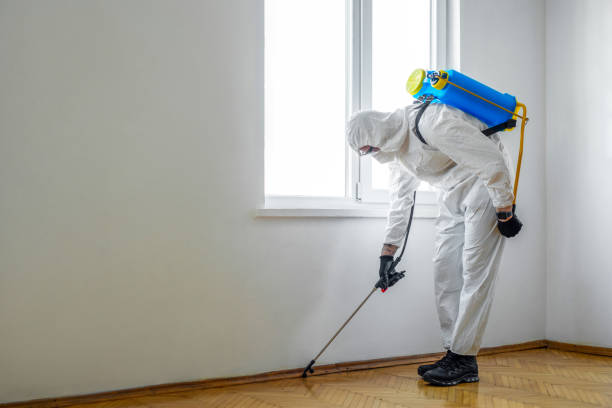 Best Emergency Pest Control  in , CT